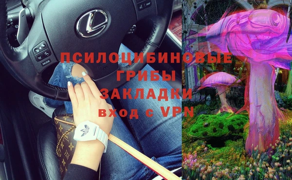 бошки Новозыбков