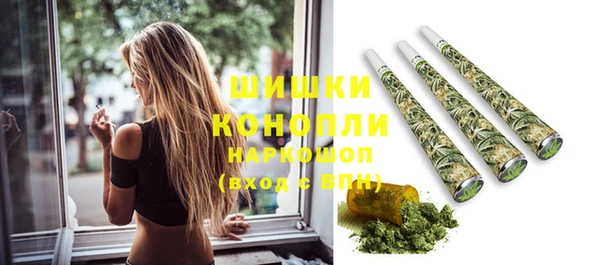 бошки Новозыбков