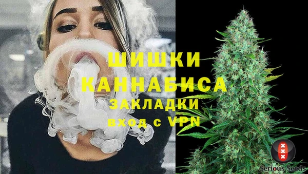 бошки Новозыбков