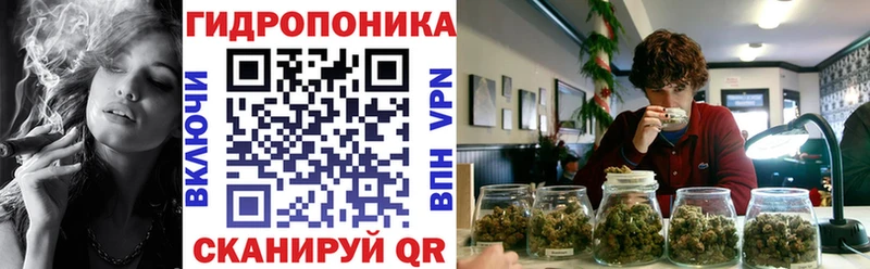 купить наркотик  Отрадный  блэк спрут вход  Каннабис Ganja 